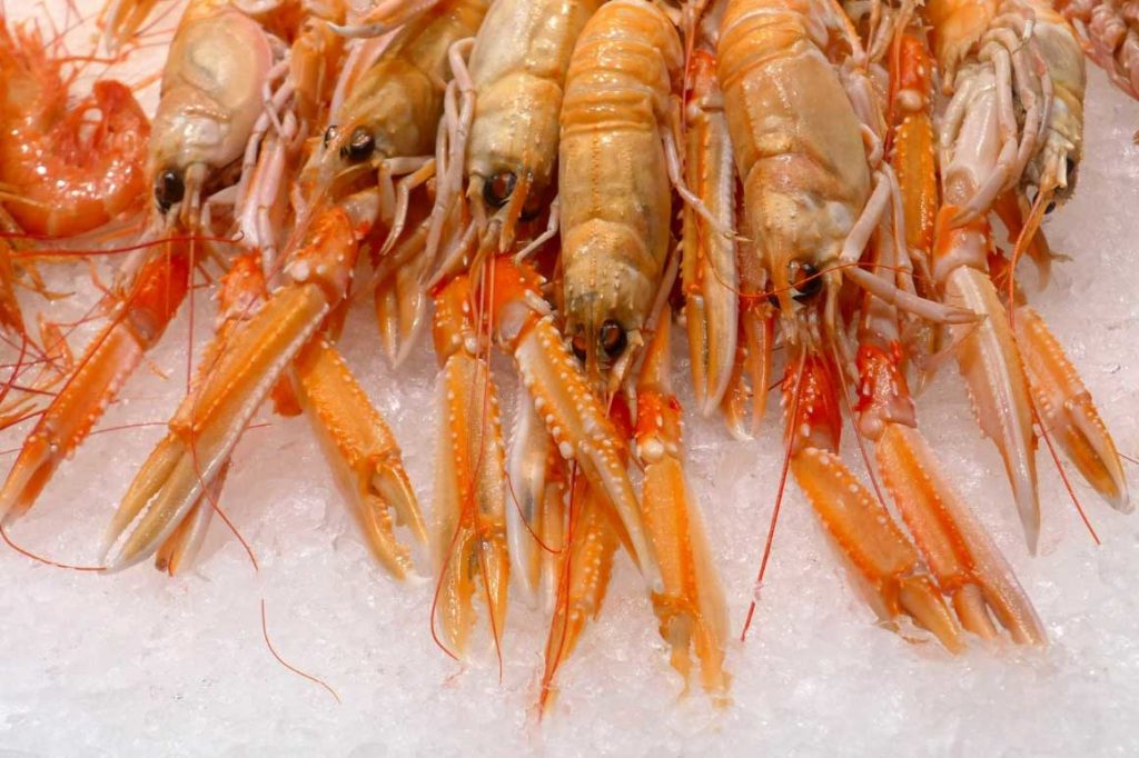 cuisine langoustine