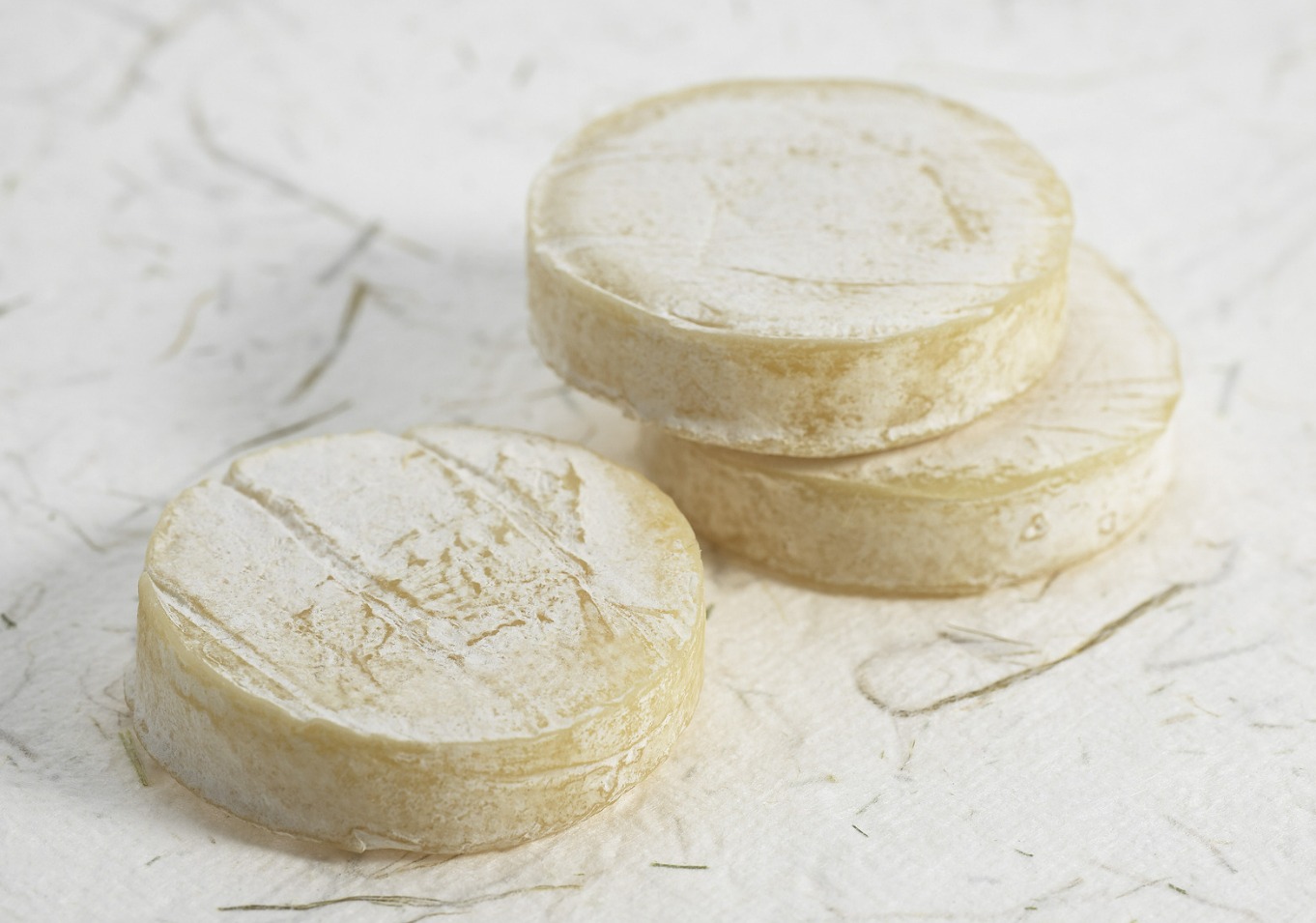 fromage de Rocamadour