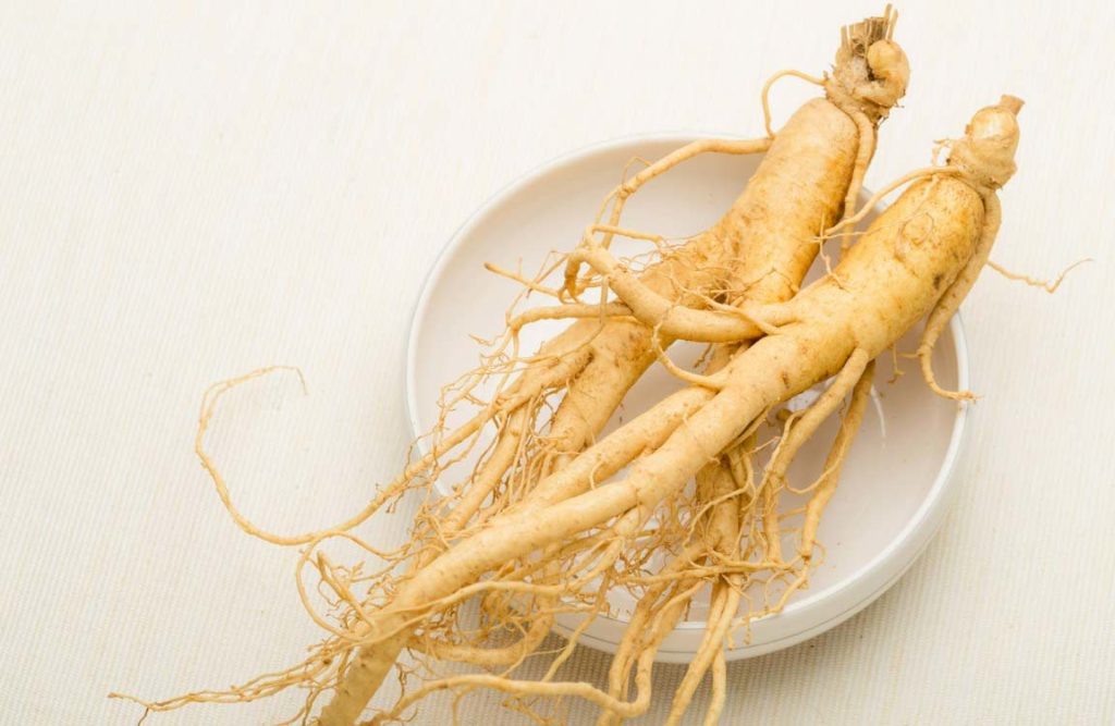 les bienfaits du ginseng